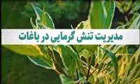 مقابله با تنش گرمایی در باغ‌ها